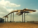 Skelett eines gestrandeten Wals neben den Salinas del Carmen