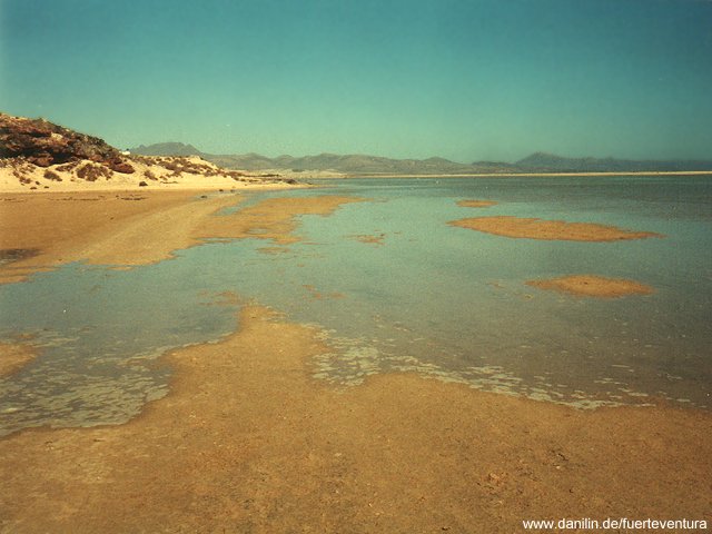 Wattlagune an der Playa de Sotavento