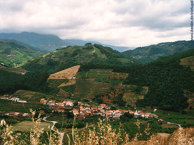 Weinberge in der Serra do Marão nahe Amarante